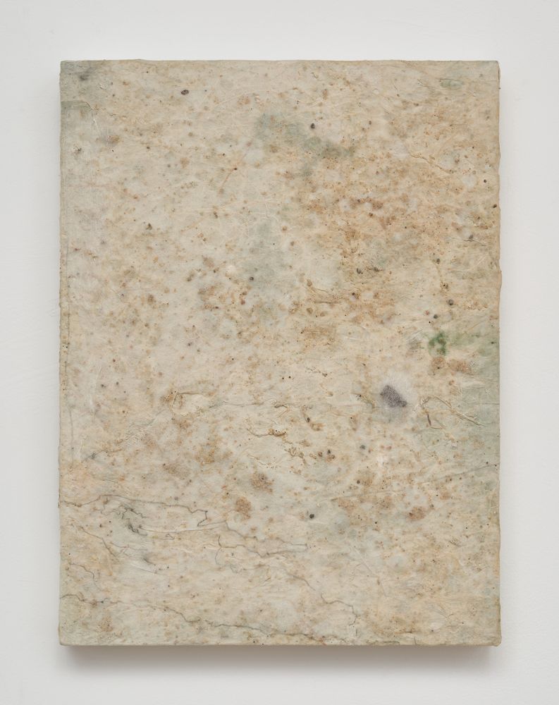 Embracing the Moment 1, 2024, Hanji, nature and acrylic on panel, 30.5 x 23 cm 