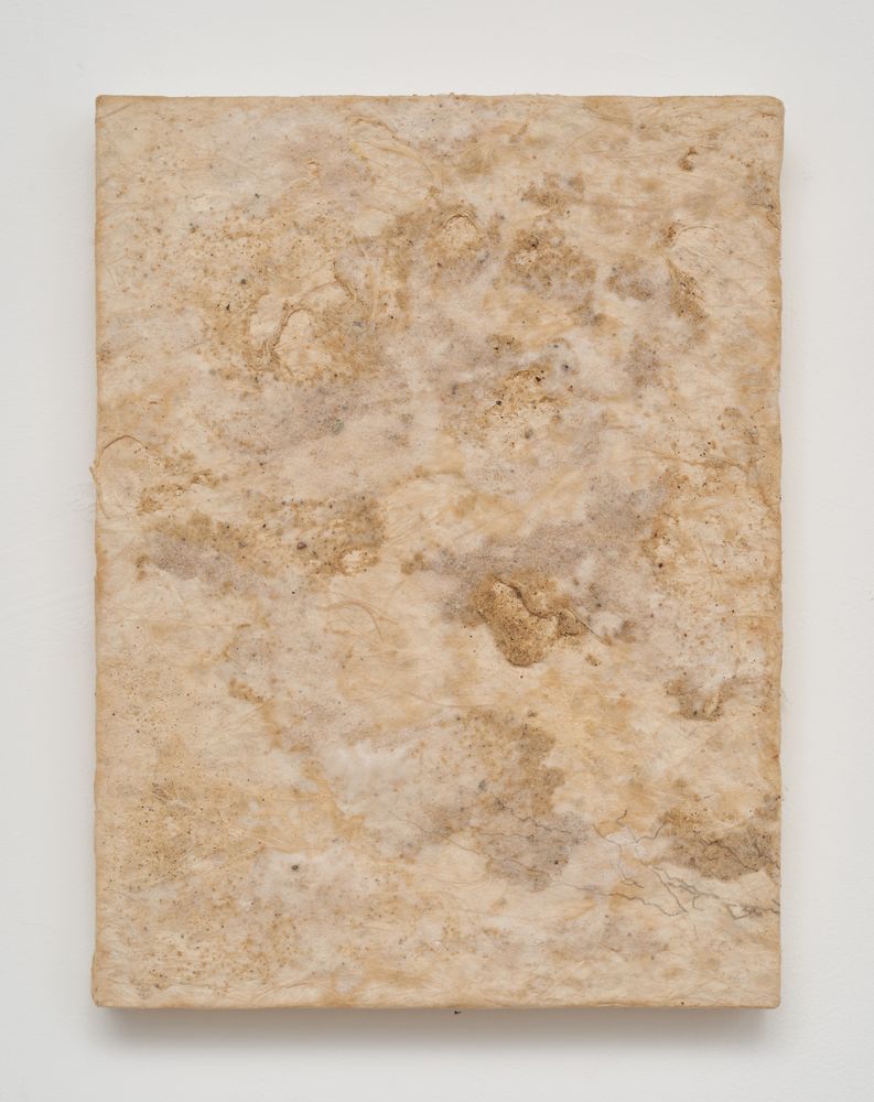 Embracing the Moment 4, 2024, Hanji, nature and acrylic on panel, 30.5 x 23 cm 