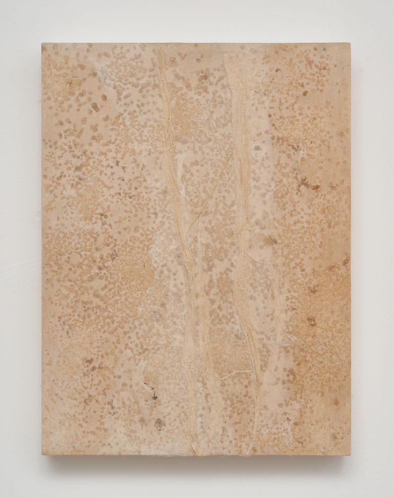 Embracing the Moment 6, 2024, Hanji, nature and acrylic on panel, 30.5 x 23 cm 