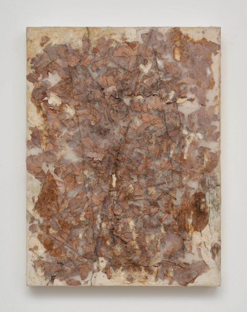 Embracing the Moment 9, 2024, Hanji, nature and acrylic on panel, 30.5 x 23 cm 