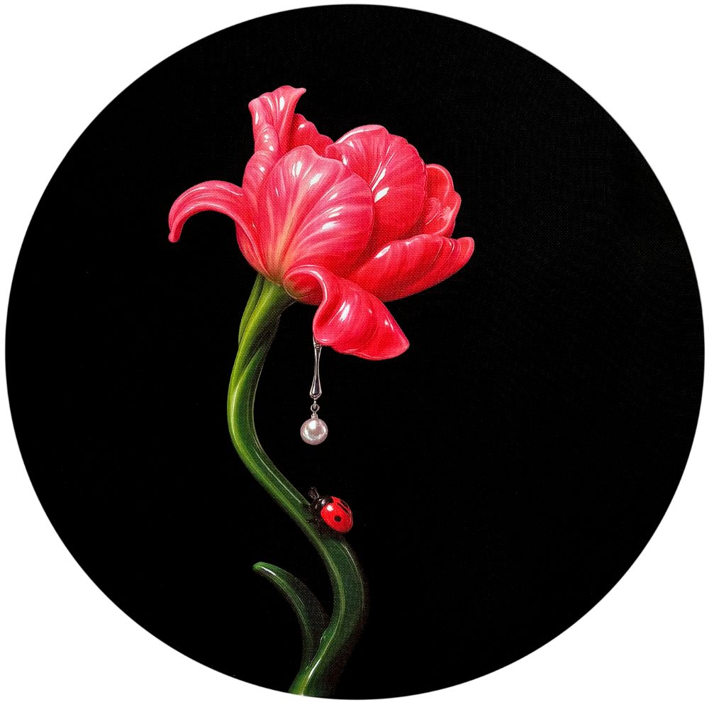 Pop, 5 Jacintos con Abeja