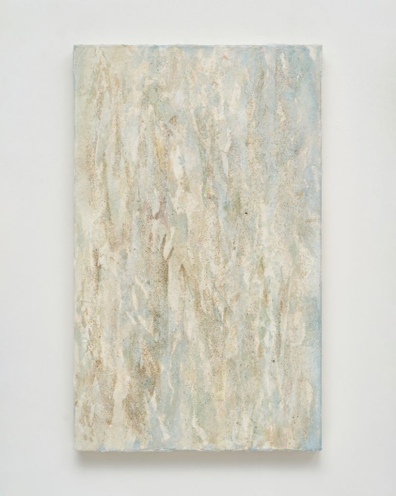 나이테 18 Aging 18