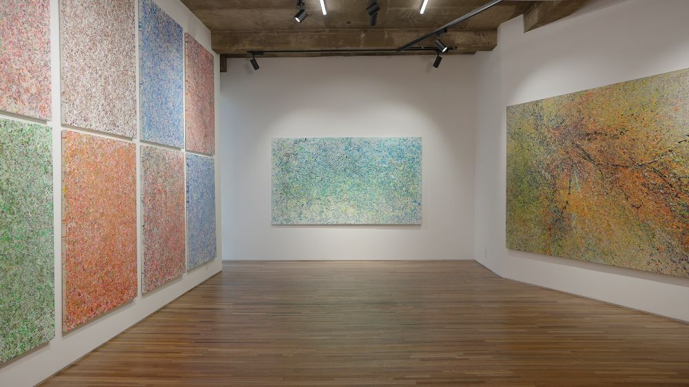 Installation view 1