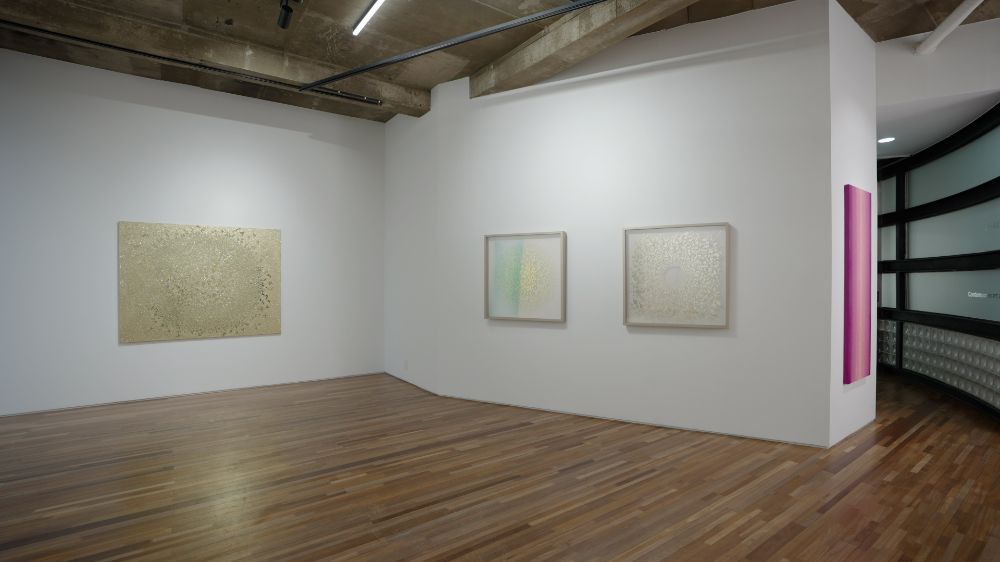 Installation view 2