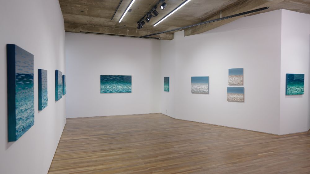 Installation view 1