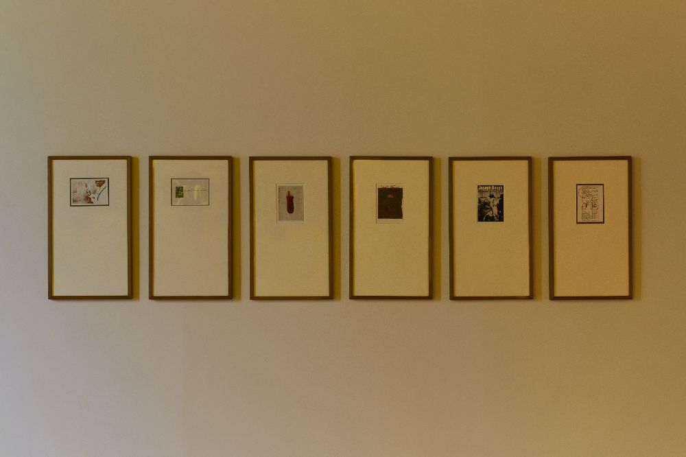 Installation view 8
