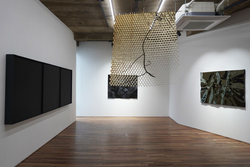 Installation view 1