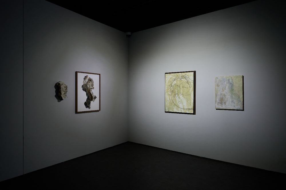 Installation view 8