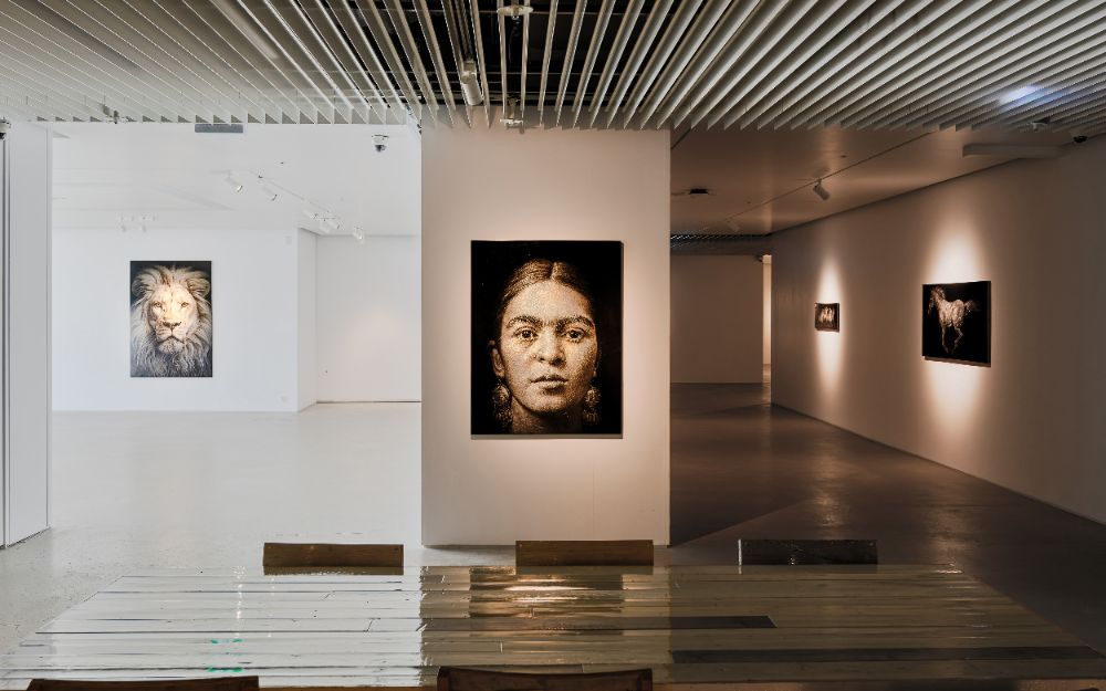 Han Young Wook's Solo Exhibition: Recommendation for Representational Art at OKNP 