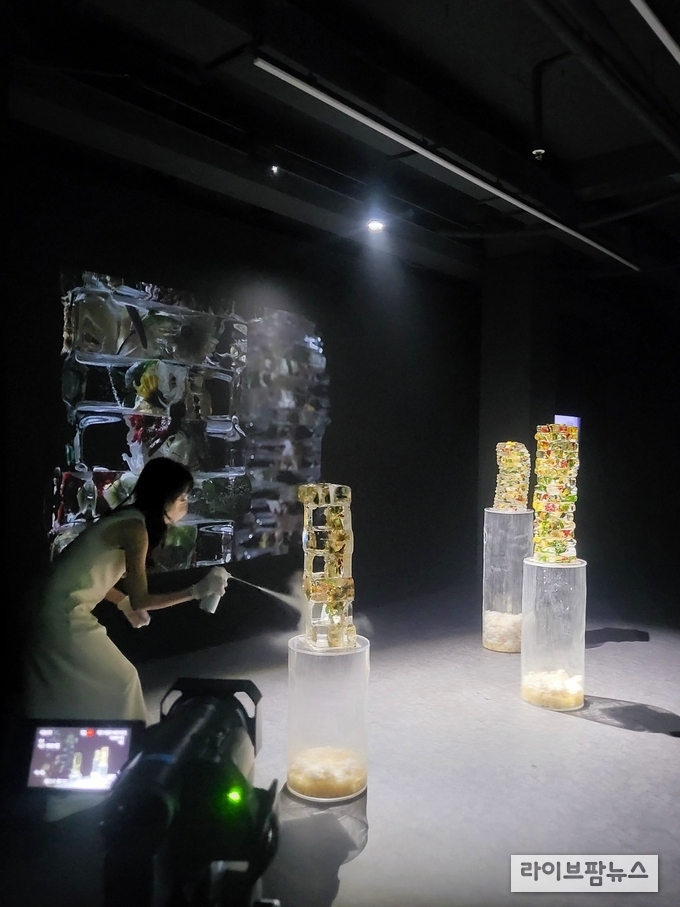 보킴, IMPERMANENCE 개인전 개최 '퍼포먼스까지 진행돼' 