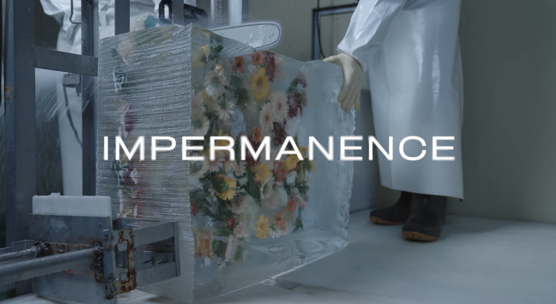 Bo Kim : Impermanence