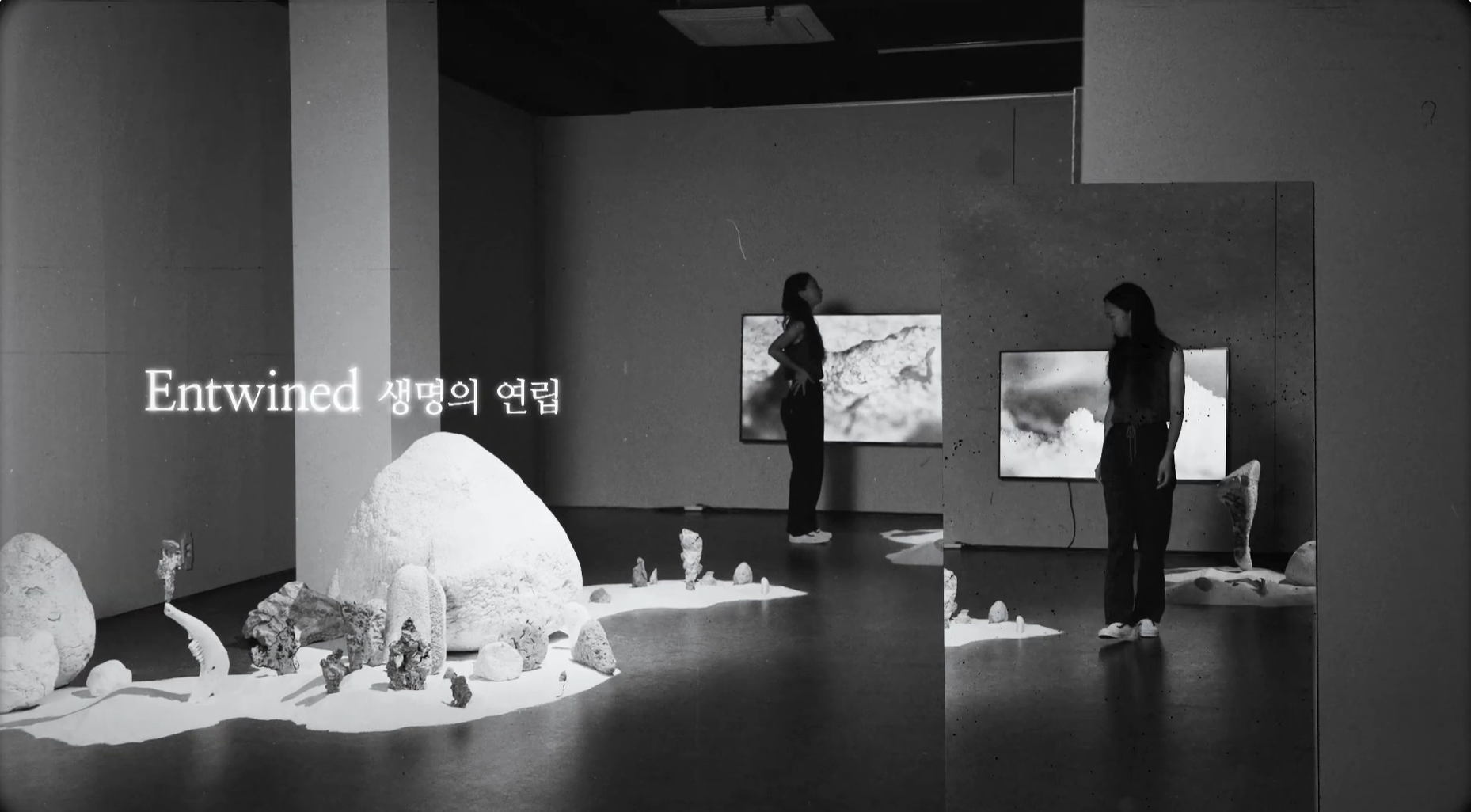 Rim Park, Bo Kim, Chang Hanna : Entwined